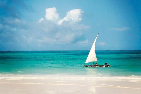 8 dagars Safari och Beach Escape Zanzibar lugn och Selous Tour