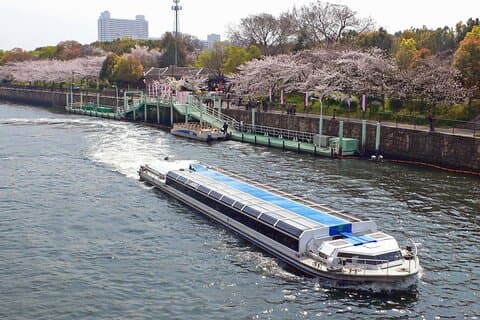 Cherry Blossoms Cruise and Osaka Castle Spring Tour