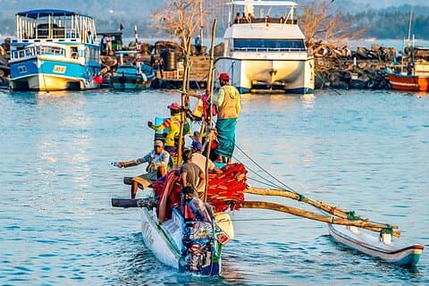 Private 8 Days Sri Lanka Family Tour with Exclusive Car