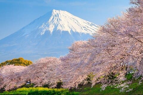 Mount Fuji & Hakone Private Van Tour mit Abholung