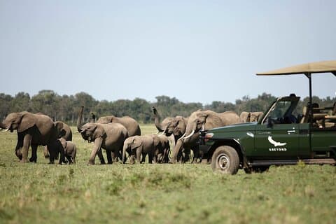 Four Day and Beyond Kichwa Tembo Luxury Safari