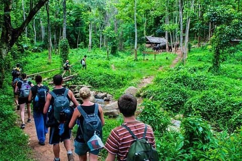 Trekking de 3 días en la selva de Chiang Mai y rafting en bambú