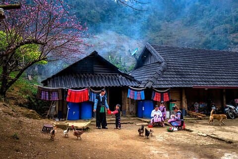 Meio dia Sapa Cat Cat Explore Waterfall, Workshop, H'mong Local