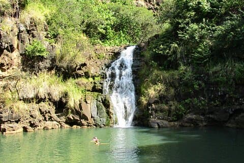North Shore Tour from Ko Olina: Waimea Falls and Dole Plantation