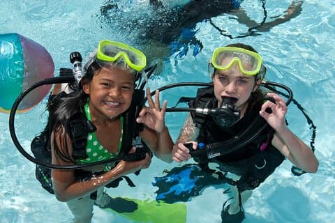 Abu Dhabi: PADI Discover dykkingsprogram