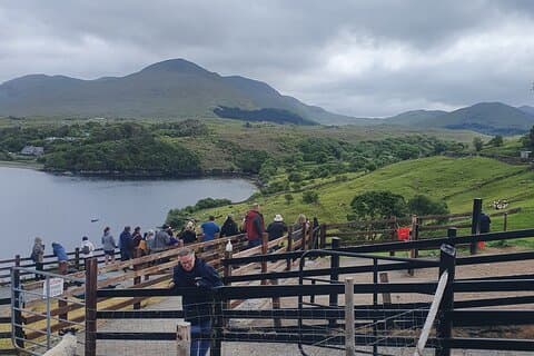 Connemara halvdagstur