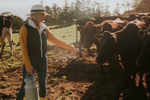 Jeep Safari Farm and Cows FD Tour