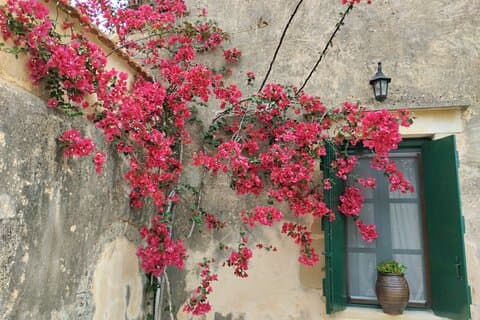 Olivenöl, Honig, Käse und Wein - Chania Villages Gastronomie Tour