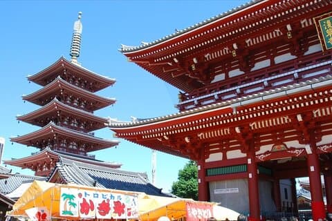 Tour de medio día a Tokio en autobús Hato