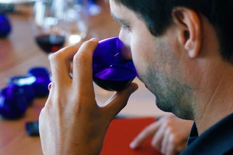 Opdag vin og olivenolie fremstillingsprocessen