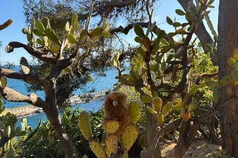 Monaco Private Ganztagesführung