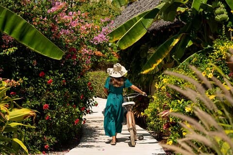 15 dagars paradis- och vildmarksäventyr på Zanzibar