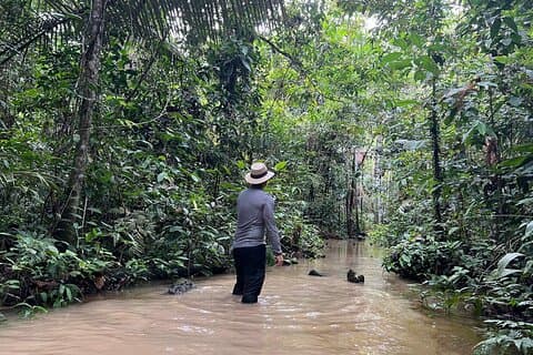 Amazonas Jungle Birdwatching Day Tour