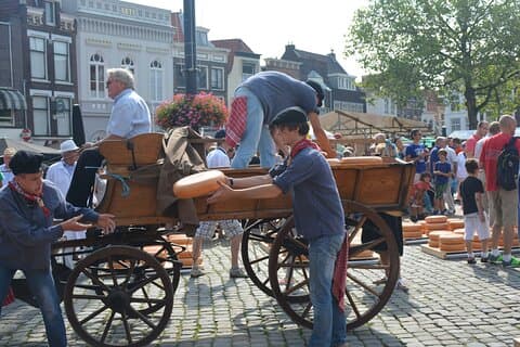 Private Day Tour from Amsterdam into the Countryside