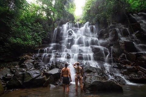 Privat dagstur til vannfall og Ubud Sightseeing