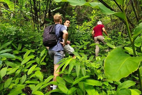 Fra Chiang Rai Jungle Adventure Gruppe Trekking Bambus madlavning
