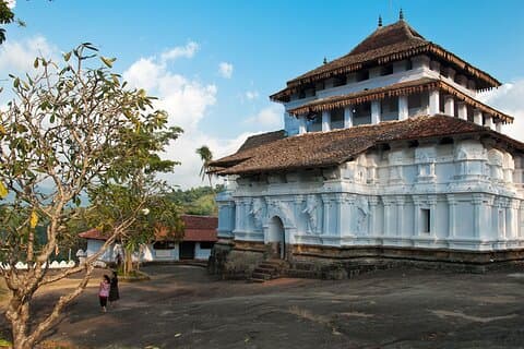 Three temples with Peradeniya & Nelligala Day Tour from Kandy