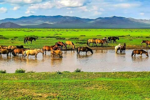 Private Mongolia Tour: 9 Days Genghis Khan Birthplace Exploration