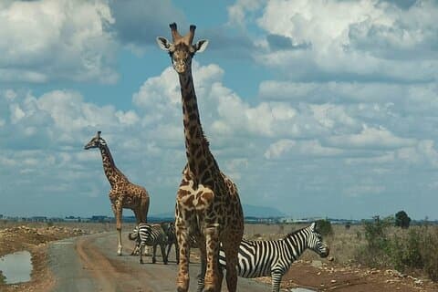 Parco di Nairobi, Giraffe Center, Beads Center e Museo Karen Blixen