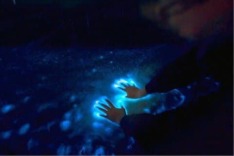 Solnedgang og bioluminescens båttur på Los Arcos Islands
