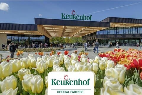 Private Skip-The-Line Keukenhof & Tulip Field Tour fra Amsterdam