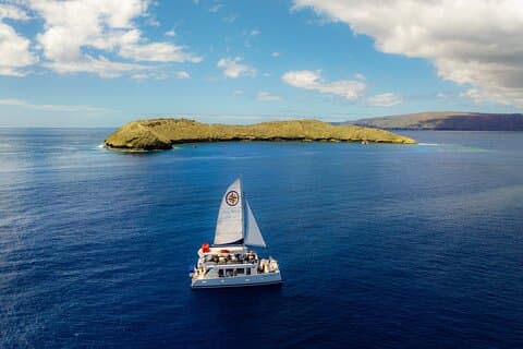 Four Winds Molokini Snorkeling Tour a partir de Maalaea Harbor