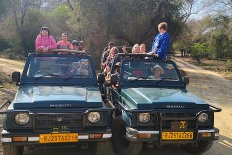 Golden Triangle Tour met Ranthambore
