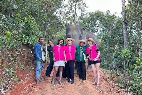 Osservazione etica degli elefanti mezza giornata da Chiang Mai