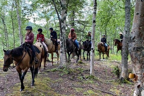 1.5 Hour Trail Ride on a working ranch in the Alaskan Mountains