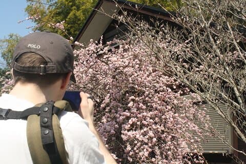 Fuga dalla città Breve escursione e Onigiri Picnic a Osaka