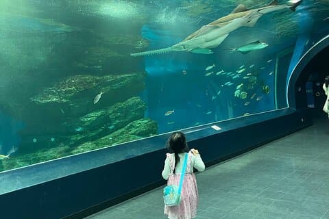 Tokyo Private Tour with a Kid~Friendly Guide