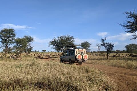 Esplora Ngorongoro con tour guidato di 5 giorni dal Kilimangiaro