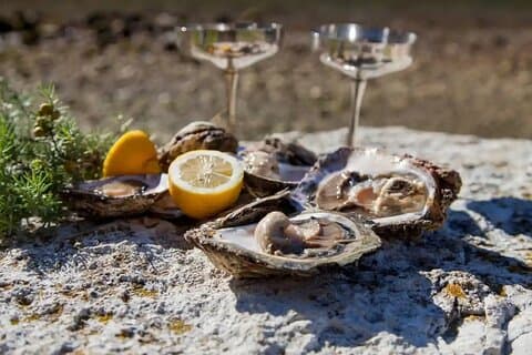 Private Dubrovnik History Local Bites Wine & Seafood Extravaganza