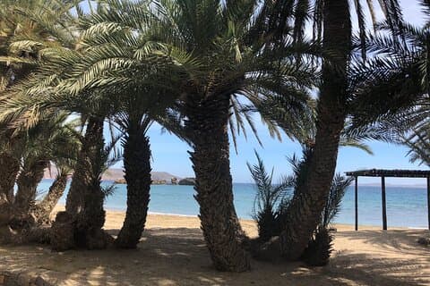 Private VIP Excursion to Vai Beach and Monastery Toplu