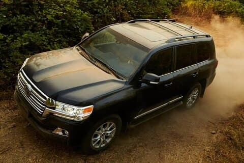 Aventure Safari Premium dans un Land Cruiser V8