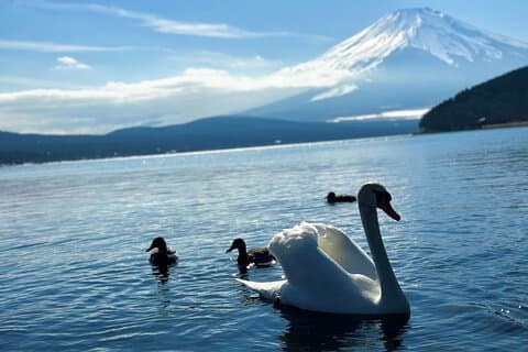 Mount Fuji (Mt. fuji) privat tur med bil med afhentning fra Tokyo