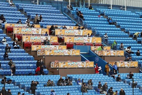 Tokyo Baseball Experience Tour with Expert English-Speaking Guide
