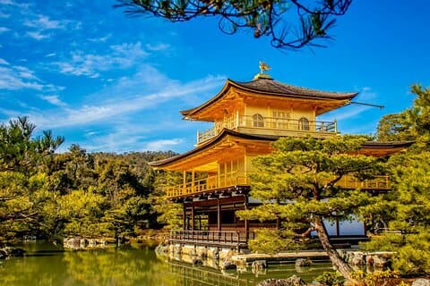 Private Kyoto Customizable Day Tour with Guide and Vehicle
