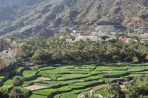Explore Nakhal Fort and Wadi Bani Awf