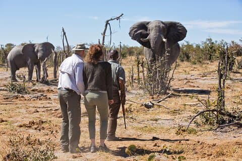 3-dagars Etosha National Park Safari från Windhoek