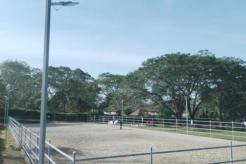 Equestrian classes - The Art of Riding a Horse