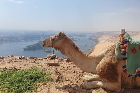 Guia e veículo turístico privado em Aswan – Língua de sua escolha