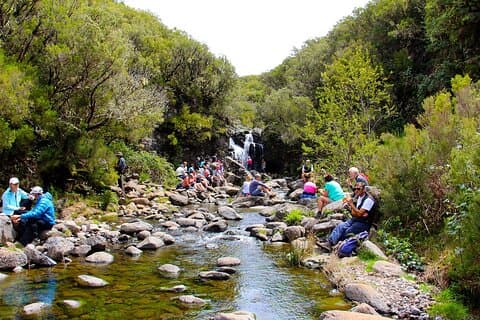Lakes of Madeira Levada Walk from Funchal