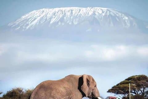 Övernattning Safari till Amboseli nationalpark