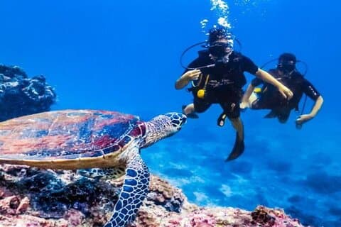 Intro Diving 2 Stops For Beginners with Lunch in Hurghada