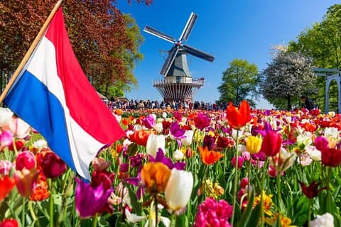 Champs de tulipes et zone d'ampoules privés Keukenhof d'Amsterdam