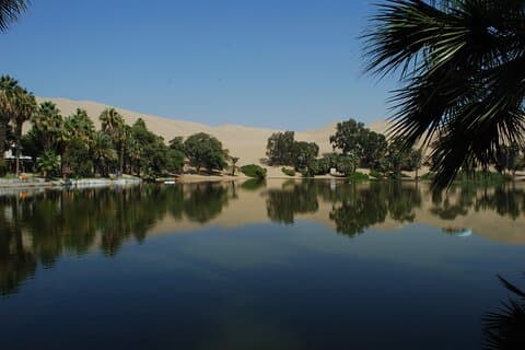Tour privato Paracas Ballestas Huacachina e Pisco Vineyard