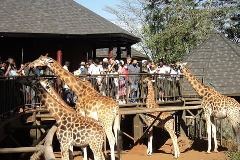 Giraffe Center Nairobi Nationalpark mit Carnivore Restaurant