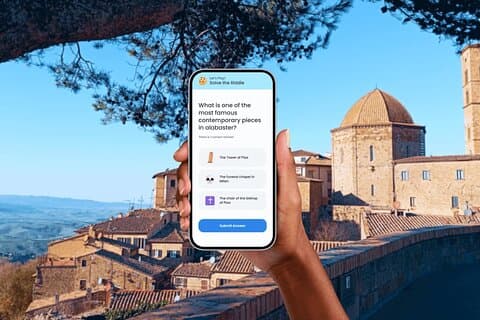 Volterra Interactive bytur