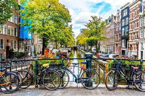 Amsterdam Art Walk & Paint Experience: De Jordaan à Vondelpark